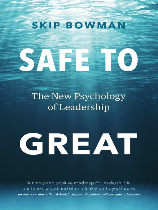 Title details for Safe to Great by Skip Bowman - Available